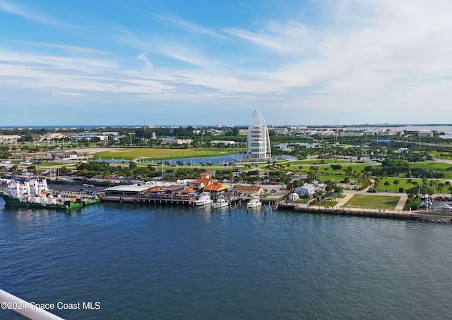 aerial view with a water view