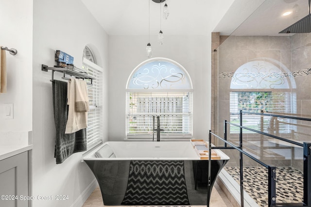 bathroom featuring plus walk in shower, plenty of natural light, and vanity