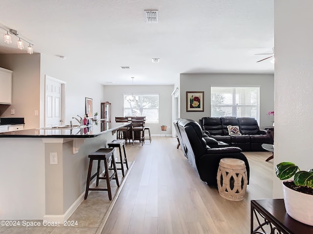 interior space with ceiling fan with notable chandelier, light hardwood / wood-style flooring, sink, and a healthy amount of sunlight