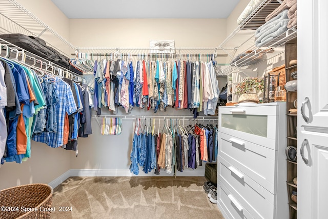 walk in closet with carpet floors