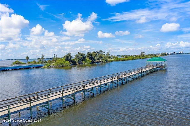 dock area with a water view