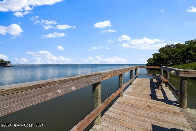 dock area featuring a water view