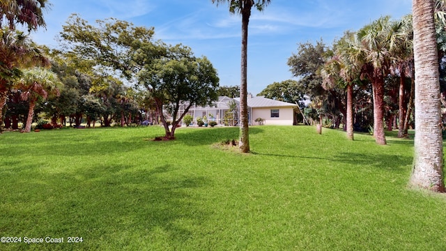 view of yard with a lanai