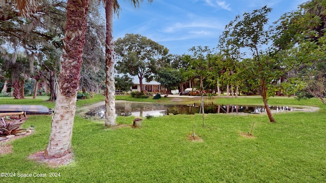 view of yard with a water view