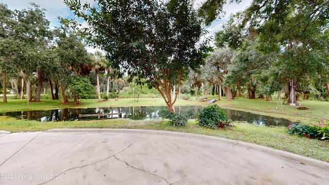 view of yard featuring a water view