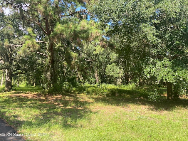 XXX E Hickory Cir, Mims FL, 32754 land for sale