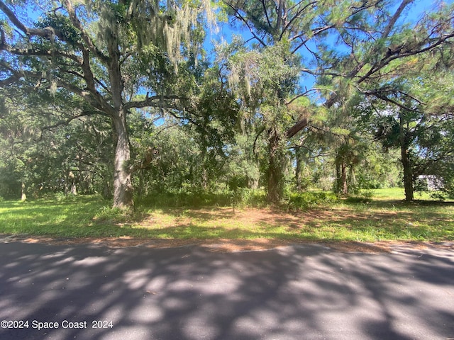 Listing photo 3 for XXX E Hickory Cir, Mims FL 32754