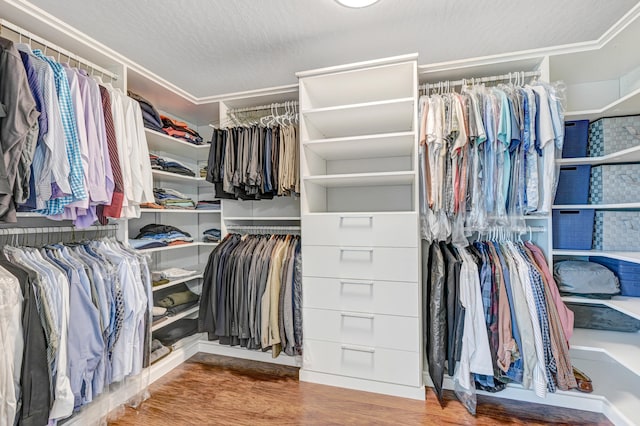 spacious closet with hardwood / wood-style floors