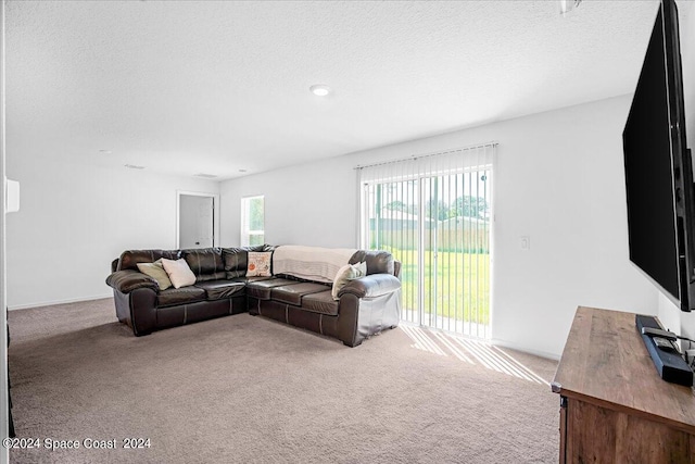 carpeted living room featuring a textured ceiling and a wealth of natural light