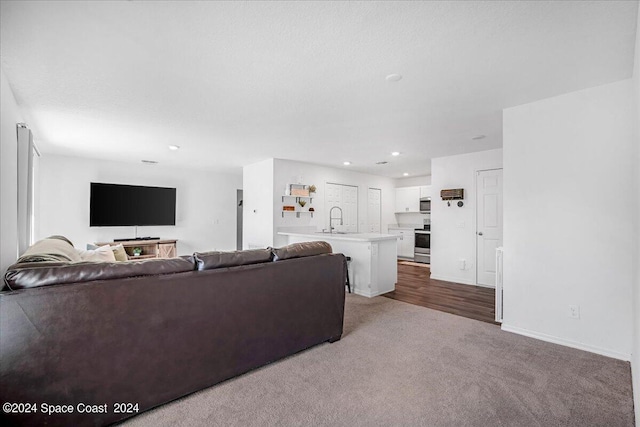 living room featuring carpet floors and sink