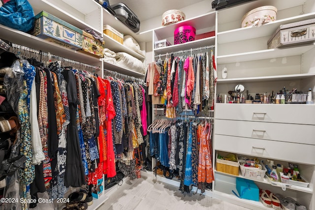 view of spacious closet