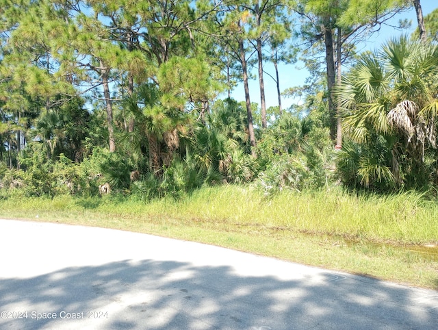 1042 Savery Rd, Palm Bay FL, 32908 land for sale