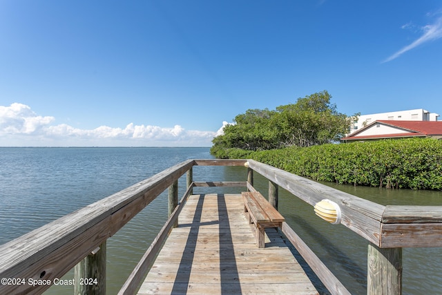 dock area featuring a water view