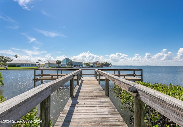 dock area with a water view