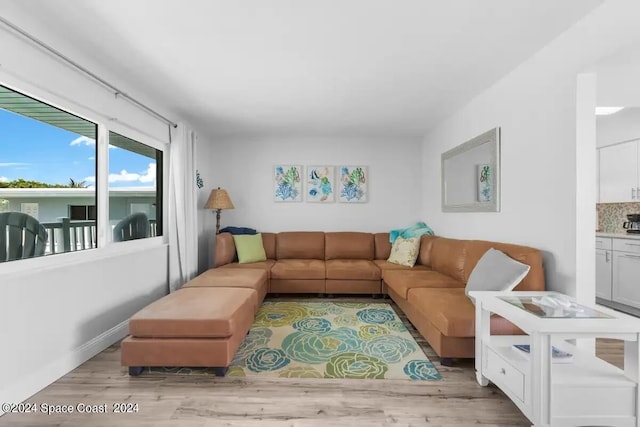 living room featuring light hardwood / wood-style flooring