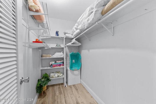 spacious closet with light hardwood / wood-style floors