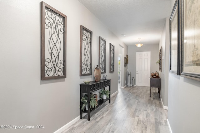 corridor featuring a textured ceiling and light hardwood / wood-style floors