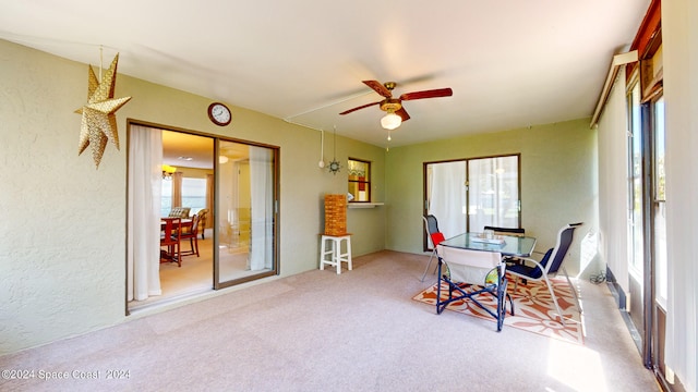 interior space with ceiling fan