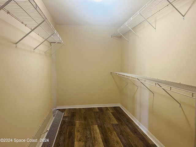 spacious closet with dark hardwood / wood-style flooring