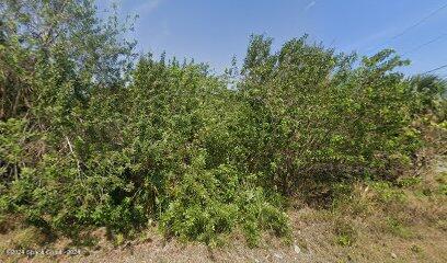 3014 Wiley Ave, Mims, FL 32754