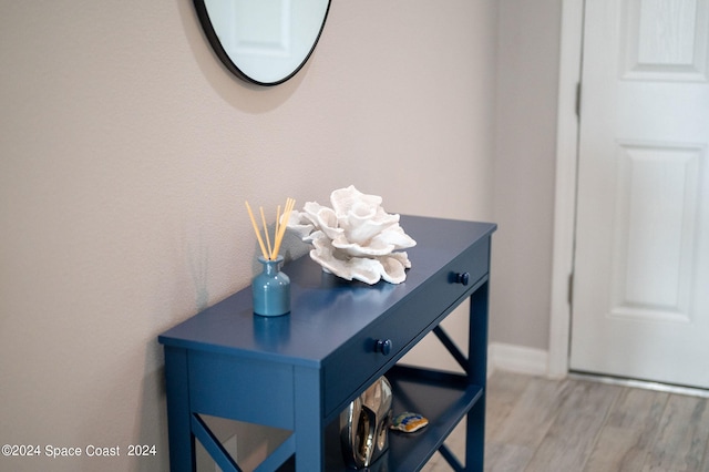 room details with hardwood / wood-style flooring