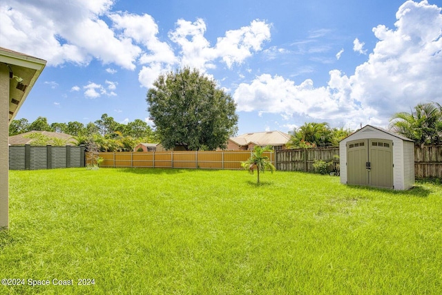 view of yard with a storage shed