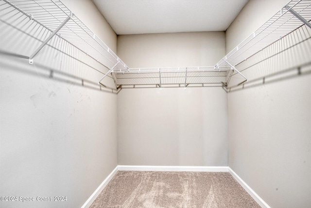 spacious closet with carpet floors