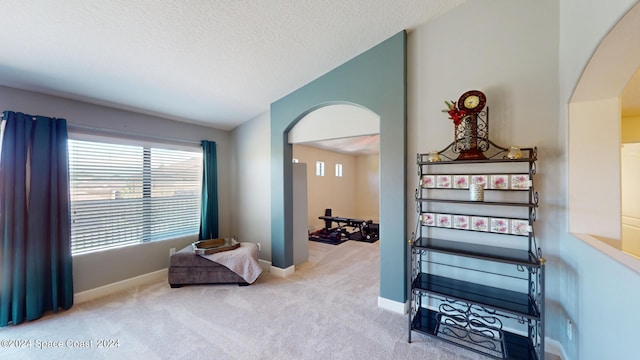 sitting room featuring a textured ceiling and light colored carpet