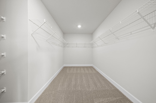 spacious closet with carpet flooring