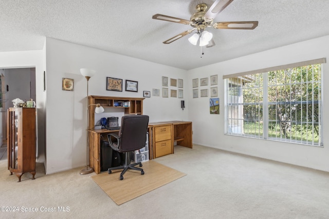 carpeted office space with ceiling fan and a textured ceiling