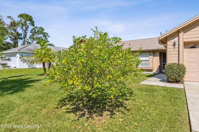 view of yard with a garage