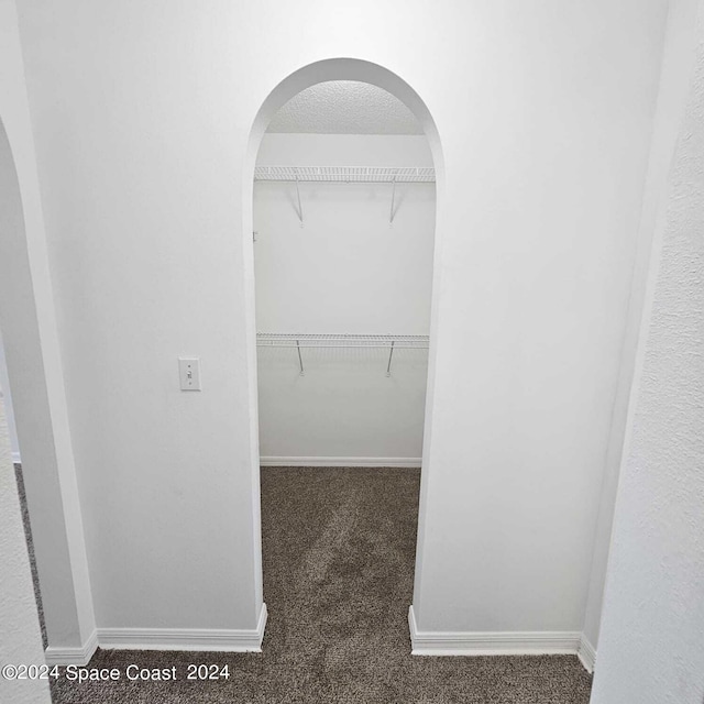 spacious closet featuring dark carpet