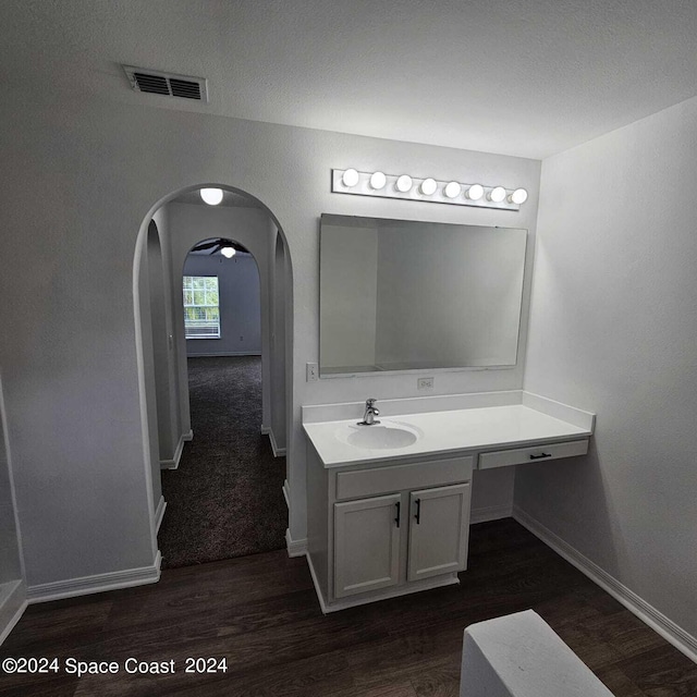 bathroom featuring wood-type flooring and vanity