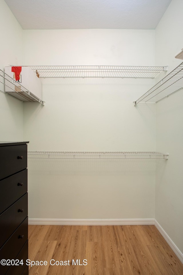 spacious closet with light wood-type flooring