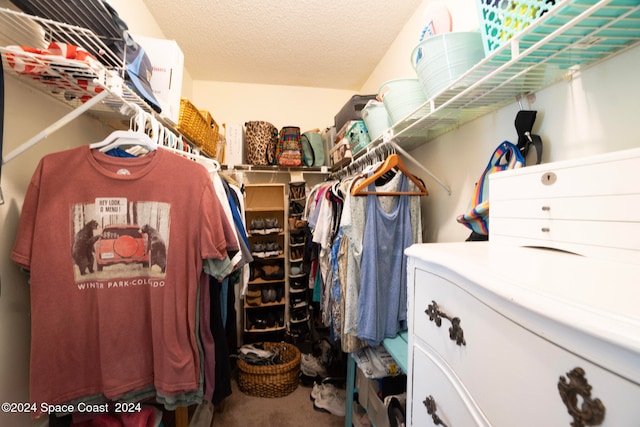 spacious closet with carpet