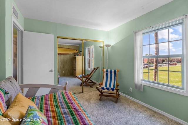 carpeted bedroom with a closet and multiple windows