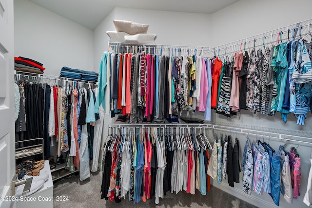 spacious closet with carpet floors