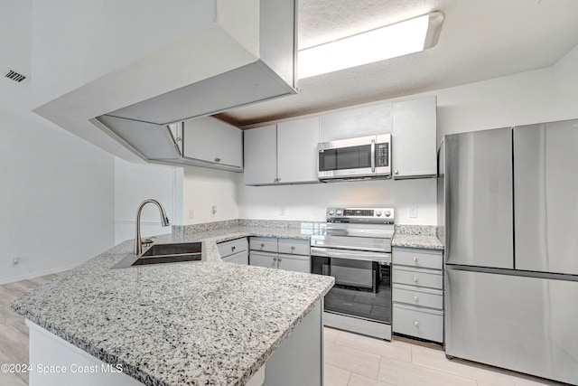 kitchen with light hardwood / wood-style floors, appliances with stainless steel finishes, sink, and kitchen peninsula