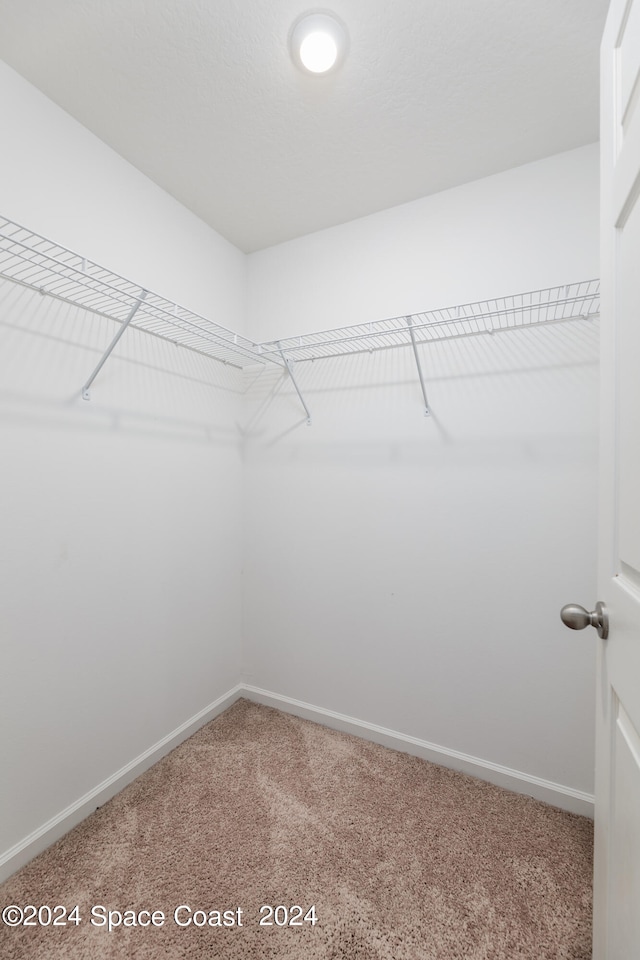 spacious closet with carpet