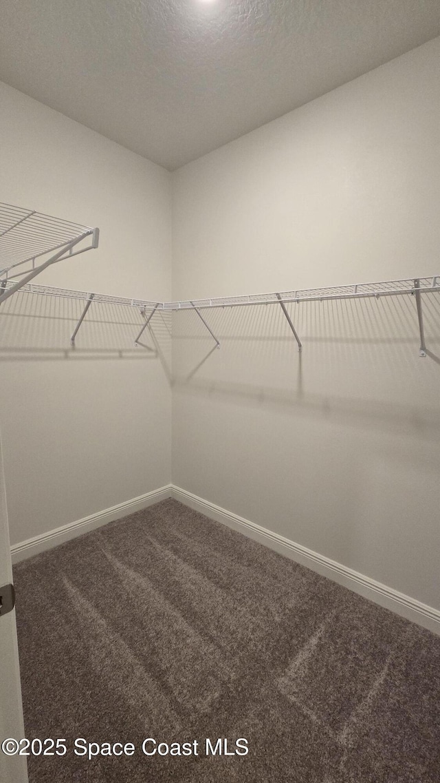 4346 Kelsey Ln, Sebastian, FL 32976 - spacious closet with carpet floors