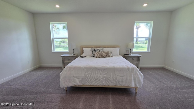 4346 Kelsey Ln, Sebastian, FL 32976 - bedroom featuring carpet flooring, multiple windows, and recessed lighting