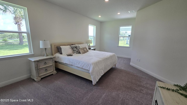 4346 Kelsey Ln, Sebastian, FL 32976 - bedroom with multiple windows, dark colored carpet, and recessed lighting
