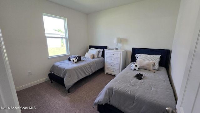 4346 Kelsey Ln, Sebastian, FL 32976 - bedroom with dark colored carpet and baseboards