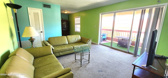 living room featuring a textured ceiling and carpet flooring