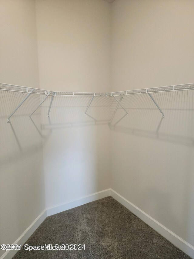 1182 Tupelo Cir, Cocoa, FL 32926 - walk in closet featuring dark colored carpet
