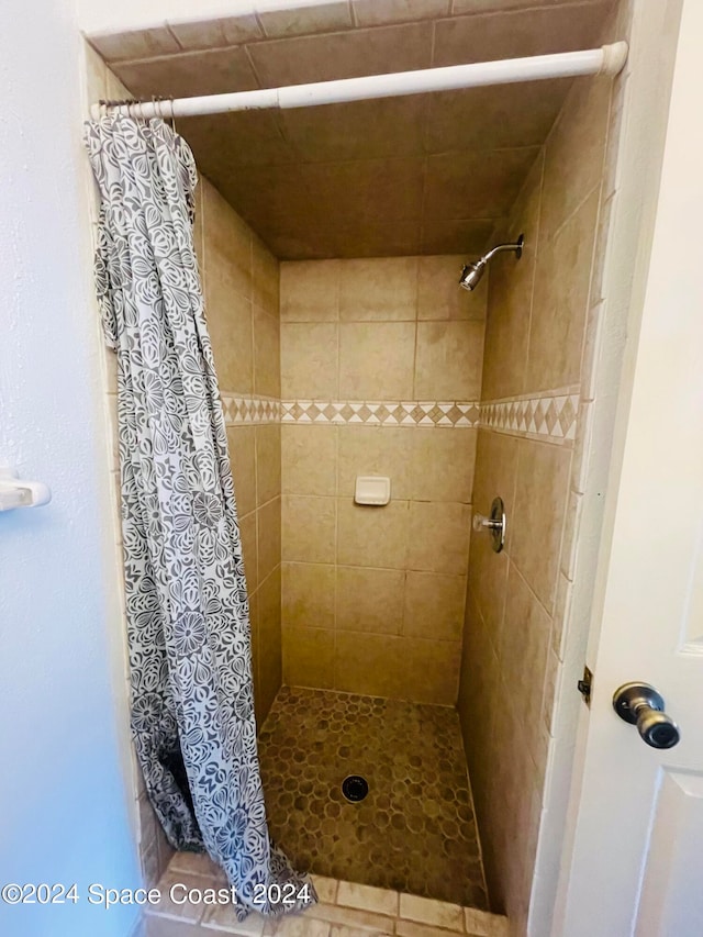 bathroom featuring a shower with shower curtain