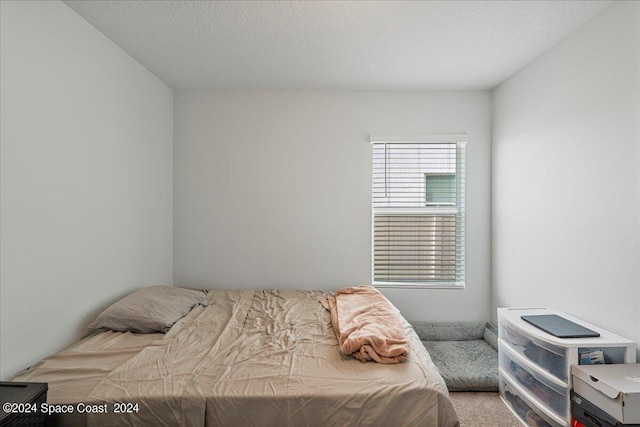 1447 Colebrook Cir SW, Palm Bay, FL 32908 - view of bedroom