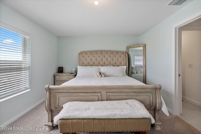 1447 Colebrook Cir SW, Palm Bay, FL 32908 - bedroom featuring multiple windows, light carpet, and baseboards