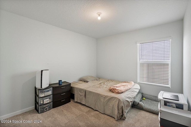 1447 Colebrook Cir SW, Palm Bay, FL 32908 - bedroom with light colored carpet and a textured ceiling