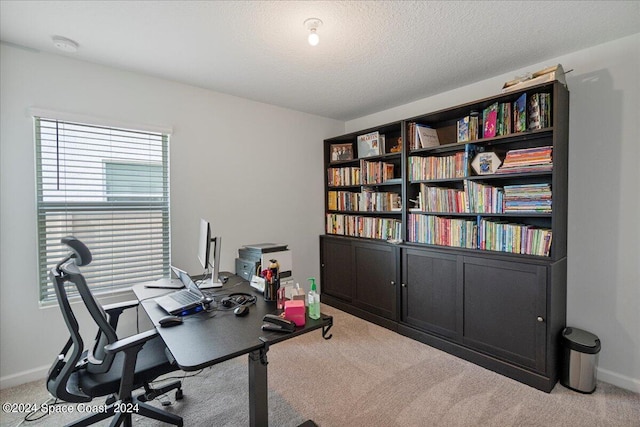 1447 Colebrook Cir SW, Palm Bay, FL 32908 - home office featuring carpet flooring and baseboards
